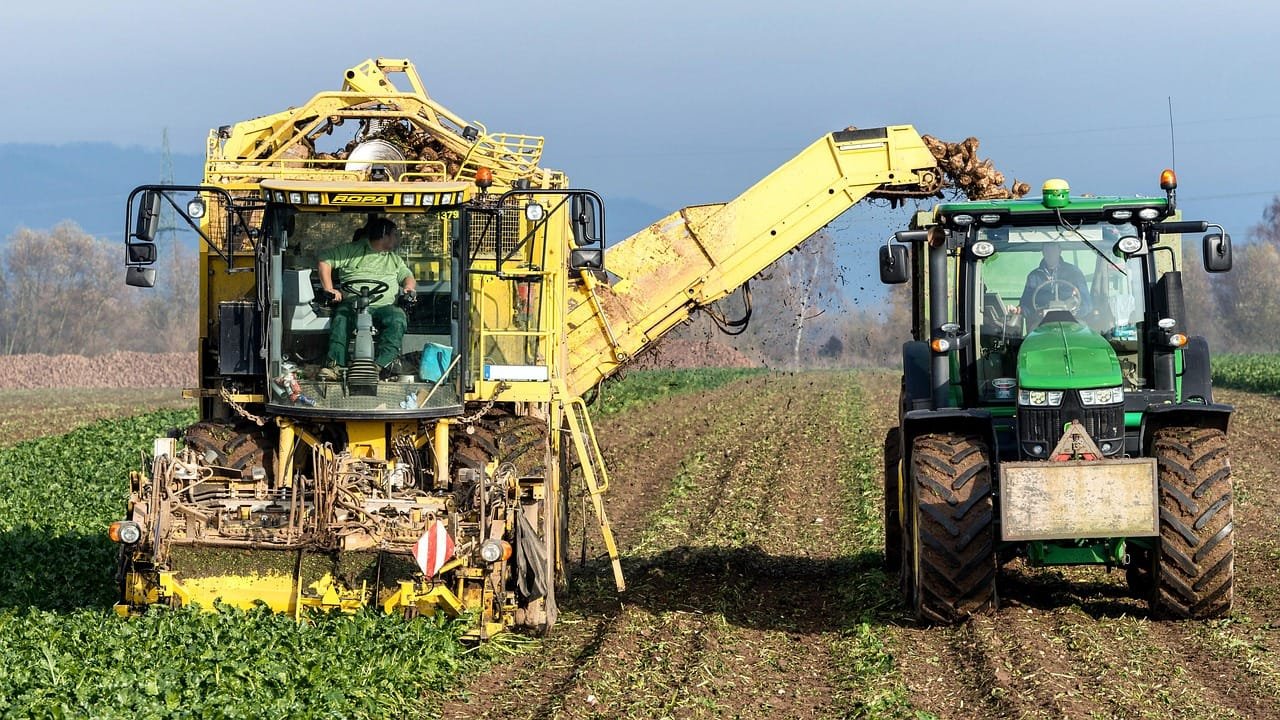 Escritórios Virtuais e a Advocacia Previdenciária Digital 1 turnip, vegetables, harvest, agriculture, nourishment, naturally, machine, field