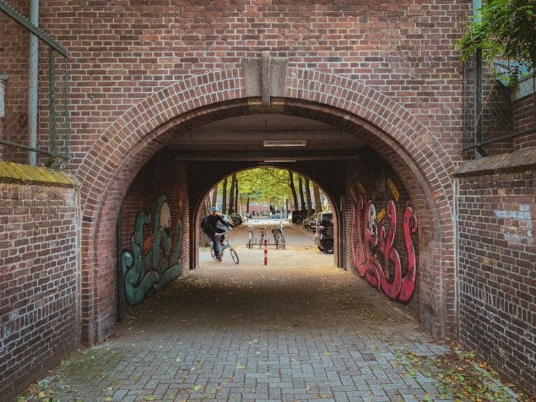 Governo na Rua: INSS Faz 224 Atendimentos em Goiânia