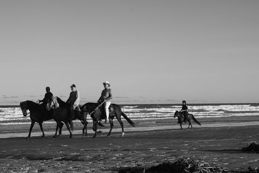 INSS Realiza 950 Atendimentos Extras em Mutirão no Nordeste