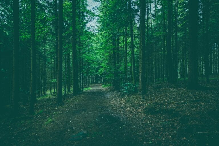 Licenciamento Ambiental: Quando é Obrigatório e Como Obter 7 Licenciamento Ambiental: Quando é Obrigatório e Como Obter