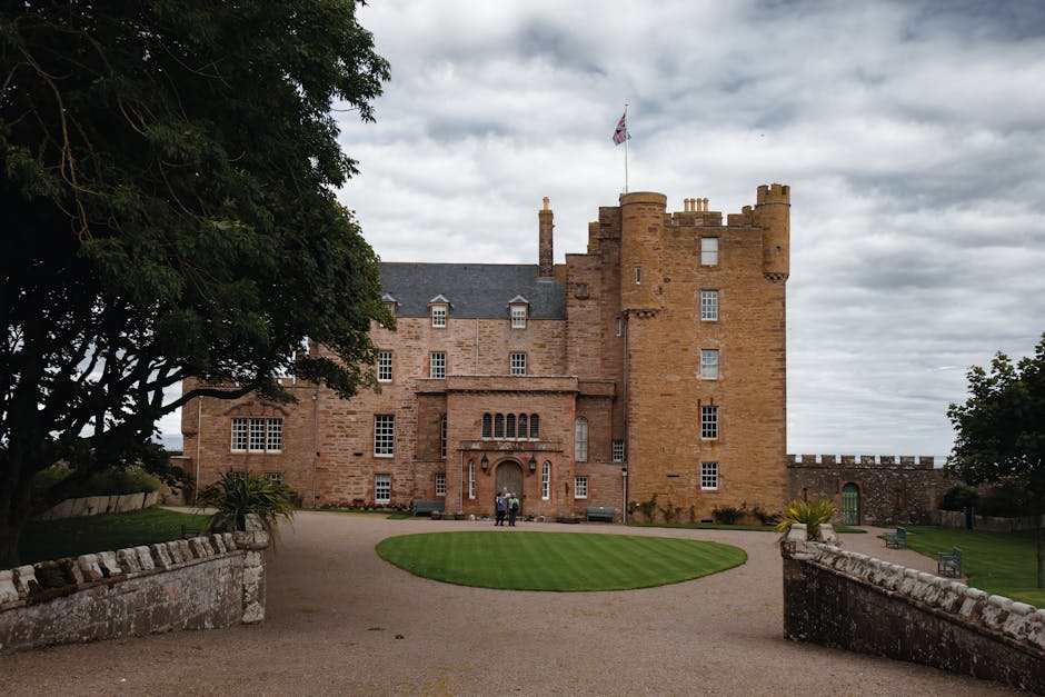 MEI e INSS: Contribuição, Direitos e Como Aumentar Sua 1 MEI INSS 2026: Direitos, Contribuição e Limitações Explicadas