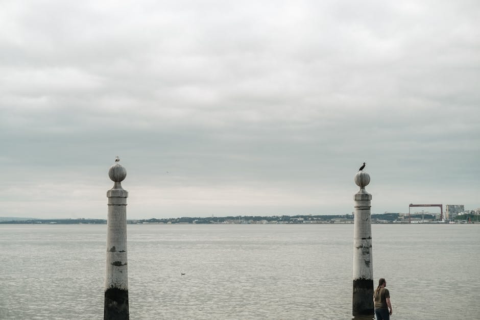 Perícia do INSS para Problemas de Coluna: Como Se Preparar 1 Perícia no INSS: Problemas de Coluna e Aposentadoria 2026