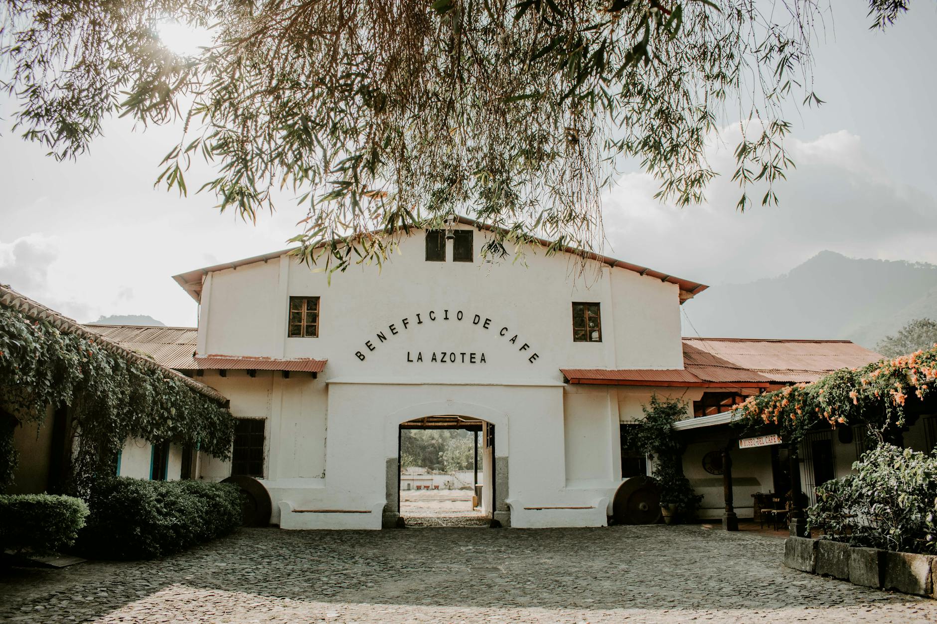 Meu INSS: Como Usar o Aplicativo Para Consultar Benefícios 1 Aplicativo Meu INSS para consulta de benefícios