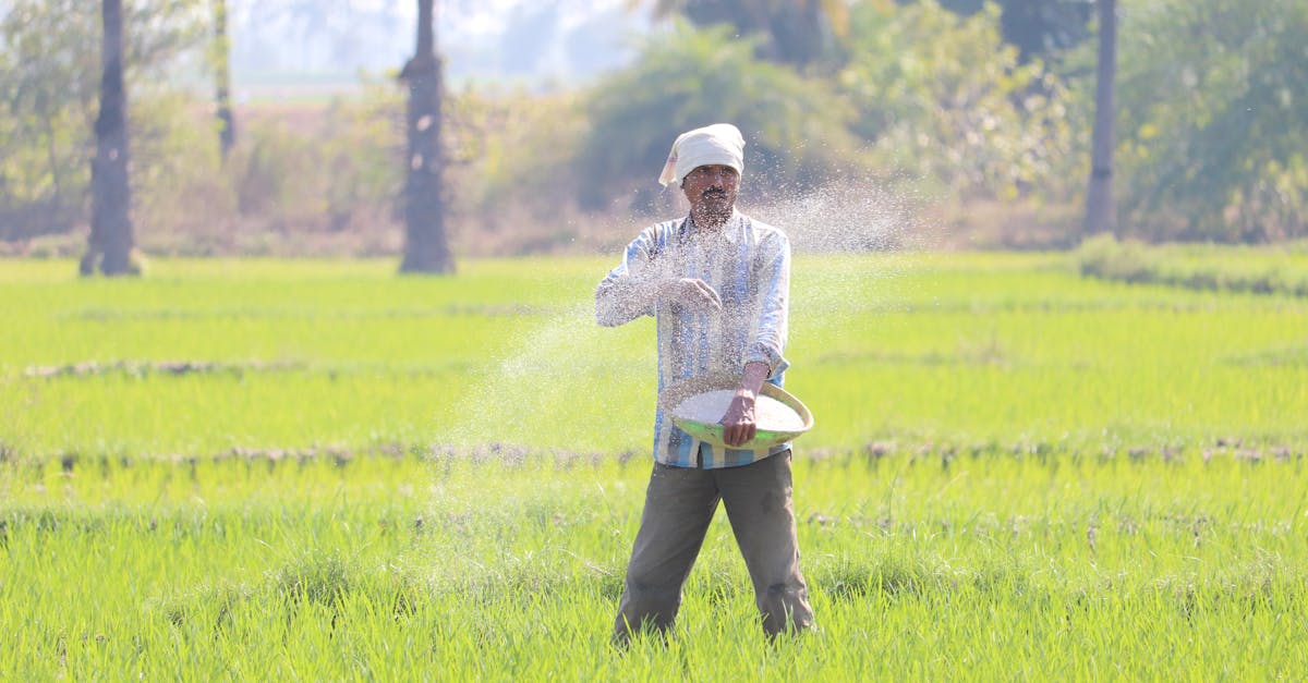 Pensão por Morte do Trabalhador Rural: Regras Atuais 1 Imagem ilustrativa: Pensão por Morte do Trabalhador Rural em 2026