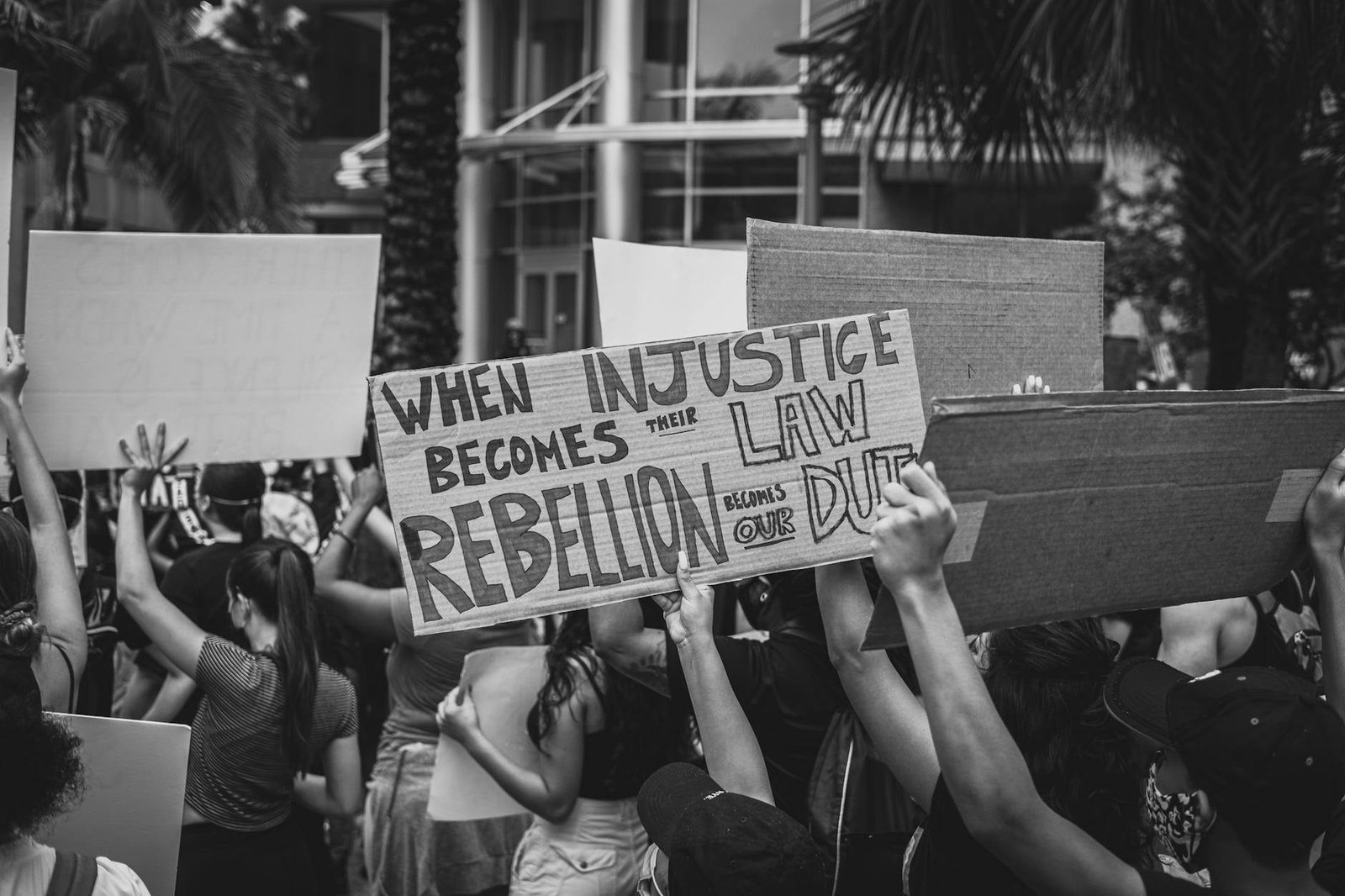 Ação Popular: Como o Cidadão Pode Proteger o Patrimônio Público — Direito Constitucional