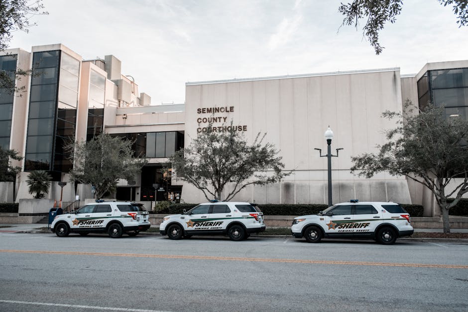 Processo administrativo disciplinar e defesa do servidor