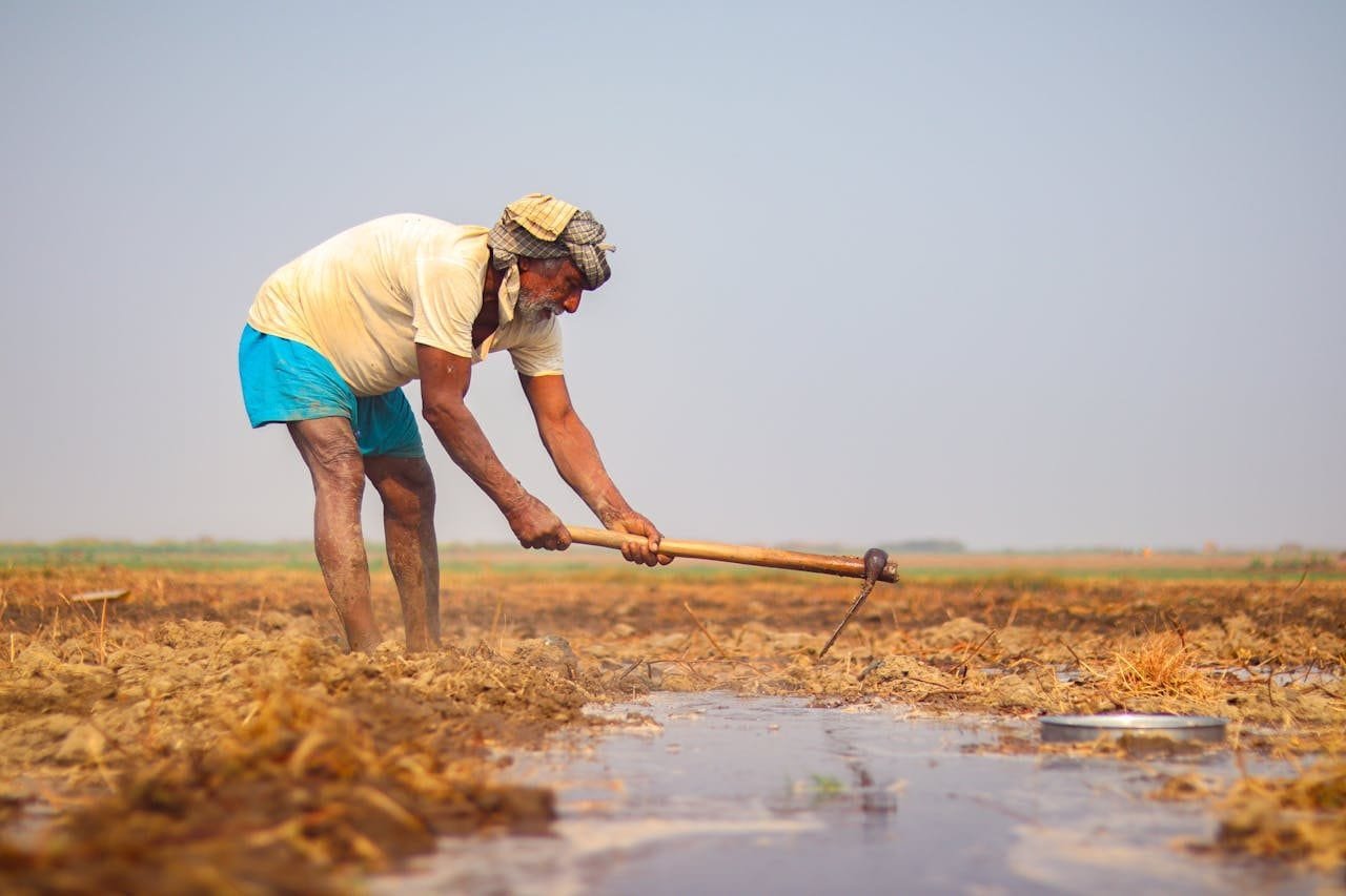 Trabalhador rural em campo agrícola representando aposentadoria rural