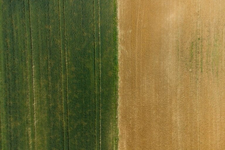 Diferença Entre Previdência e Assistência 15 Comparação entre previdência e assistência social no direito previdenciário brasileiro