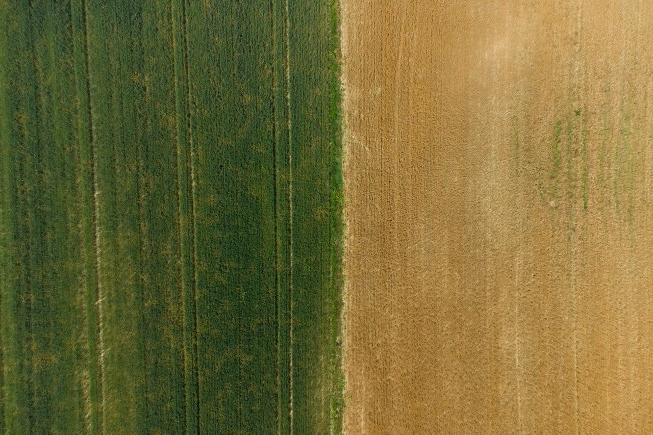 Comparação entre previdência e assistência social no direito previdenciário brasileiro
