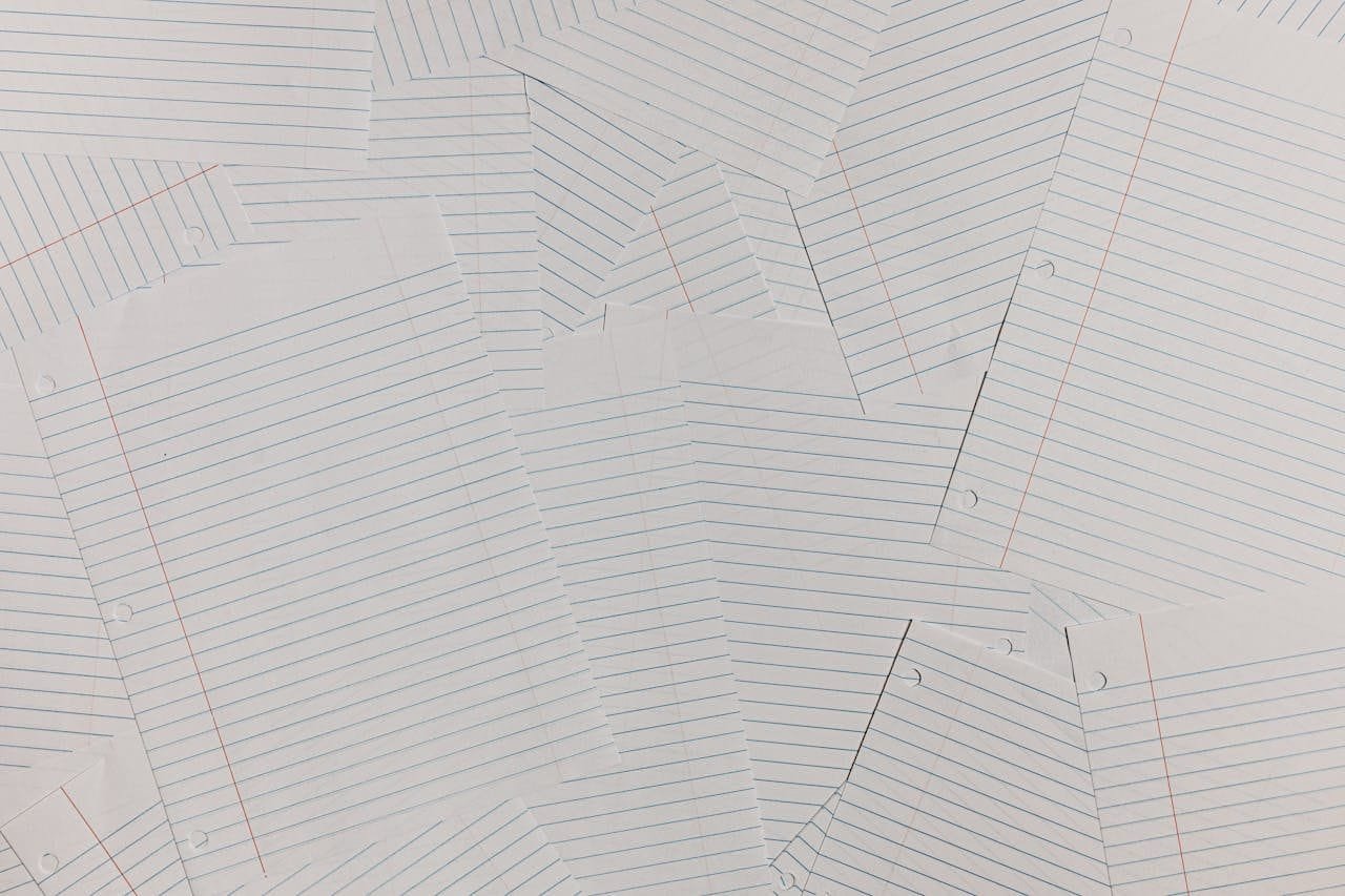 Direito De Petição Ao Poder Público 1 Documento de petição ao poder público sobre direito administrativo