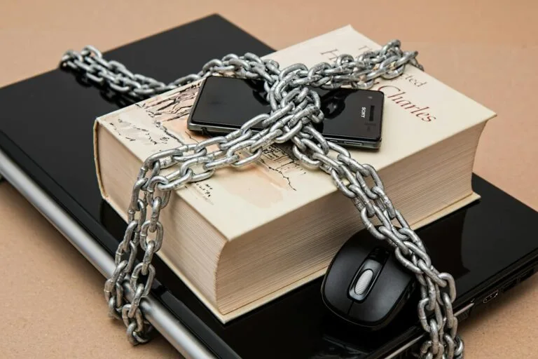 Habeas Data: Direito de Acesso a Informações Pessoais — Direito Constitucional