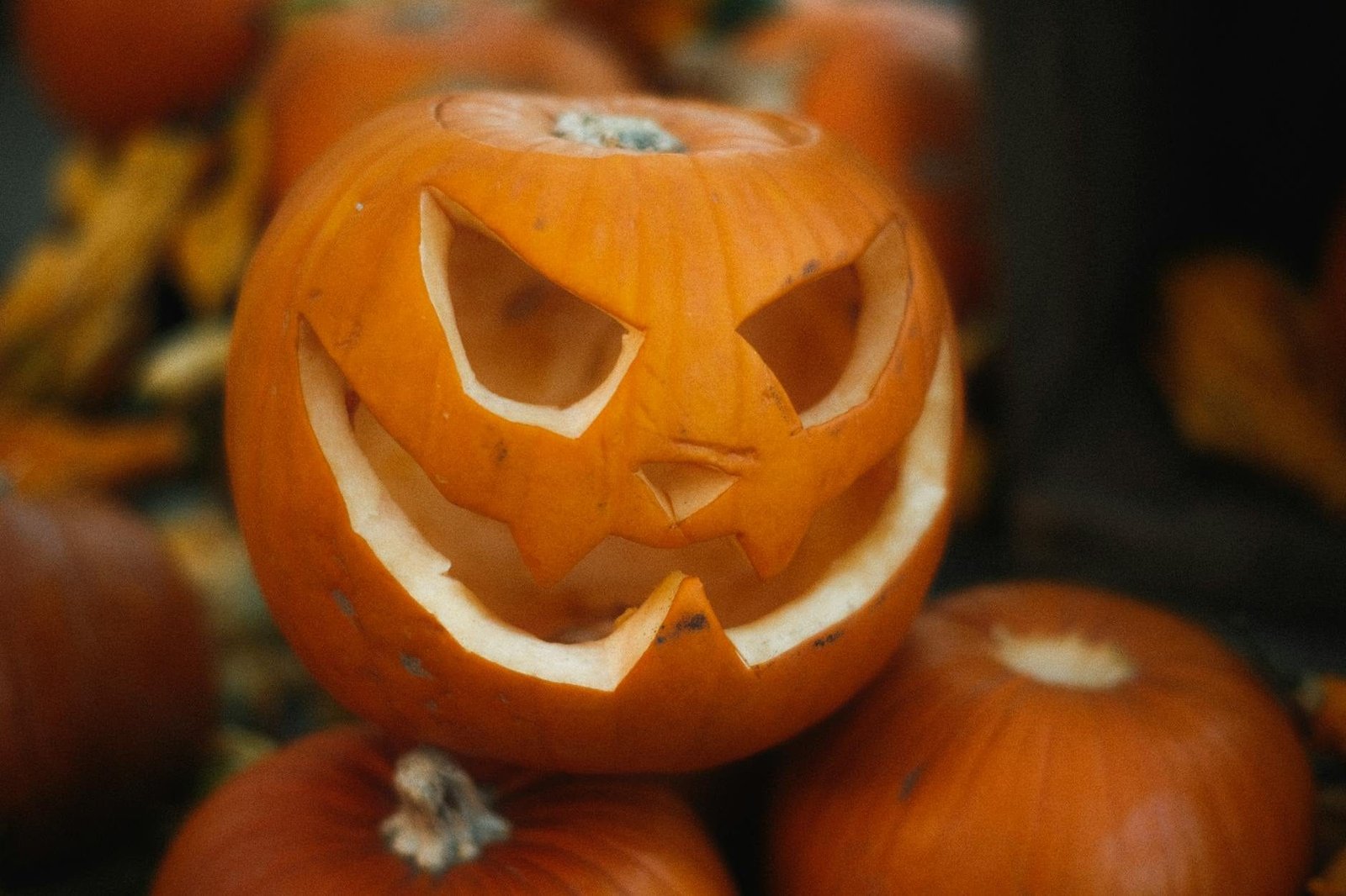Close-up of a carved jack-o-lantern surrounded by pumpkins, perfect for Hallowe