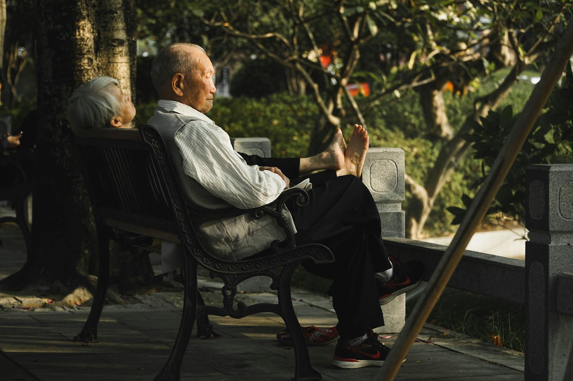 Imagem ilustrativa sobre direito previdenciario