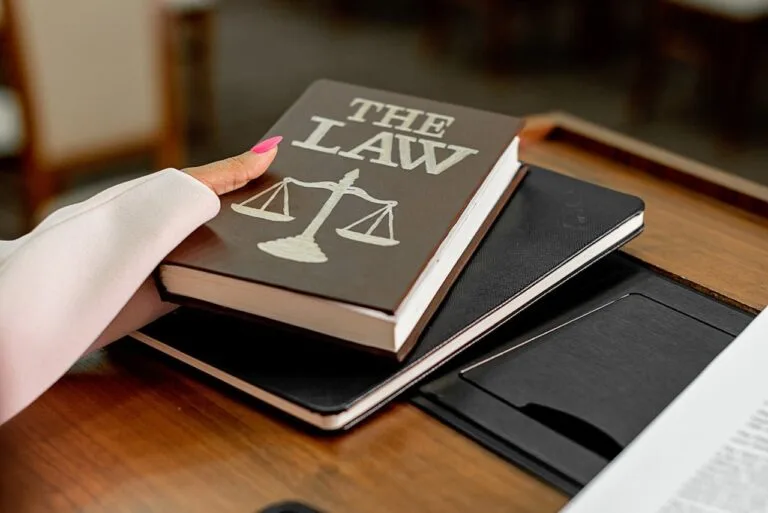 Lei 9.784 Princípios E Garantias 7 Princípios e garantias da Lei 9.784 no processo administrativo federal