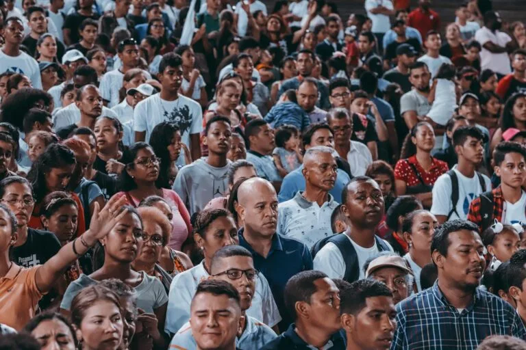 pardo categoria jurídica cotas raciais
