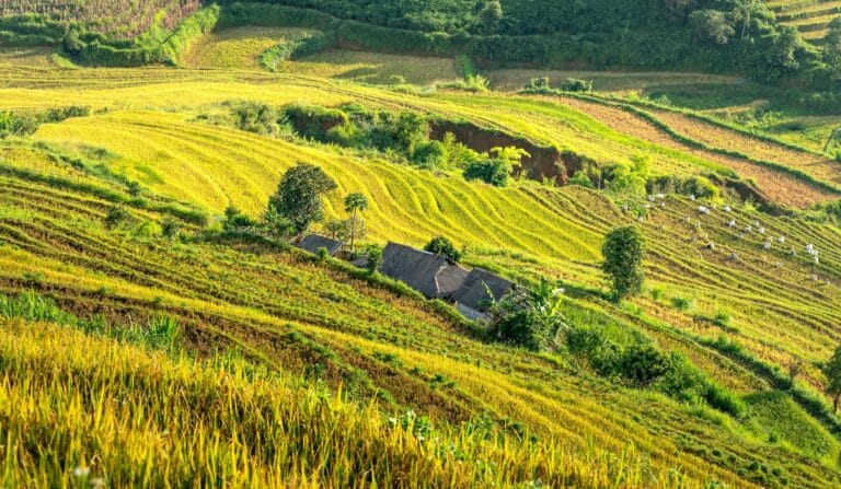 ITR imposto territorial rural