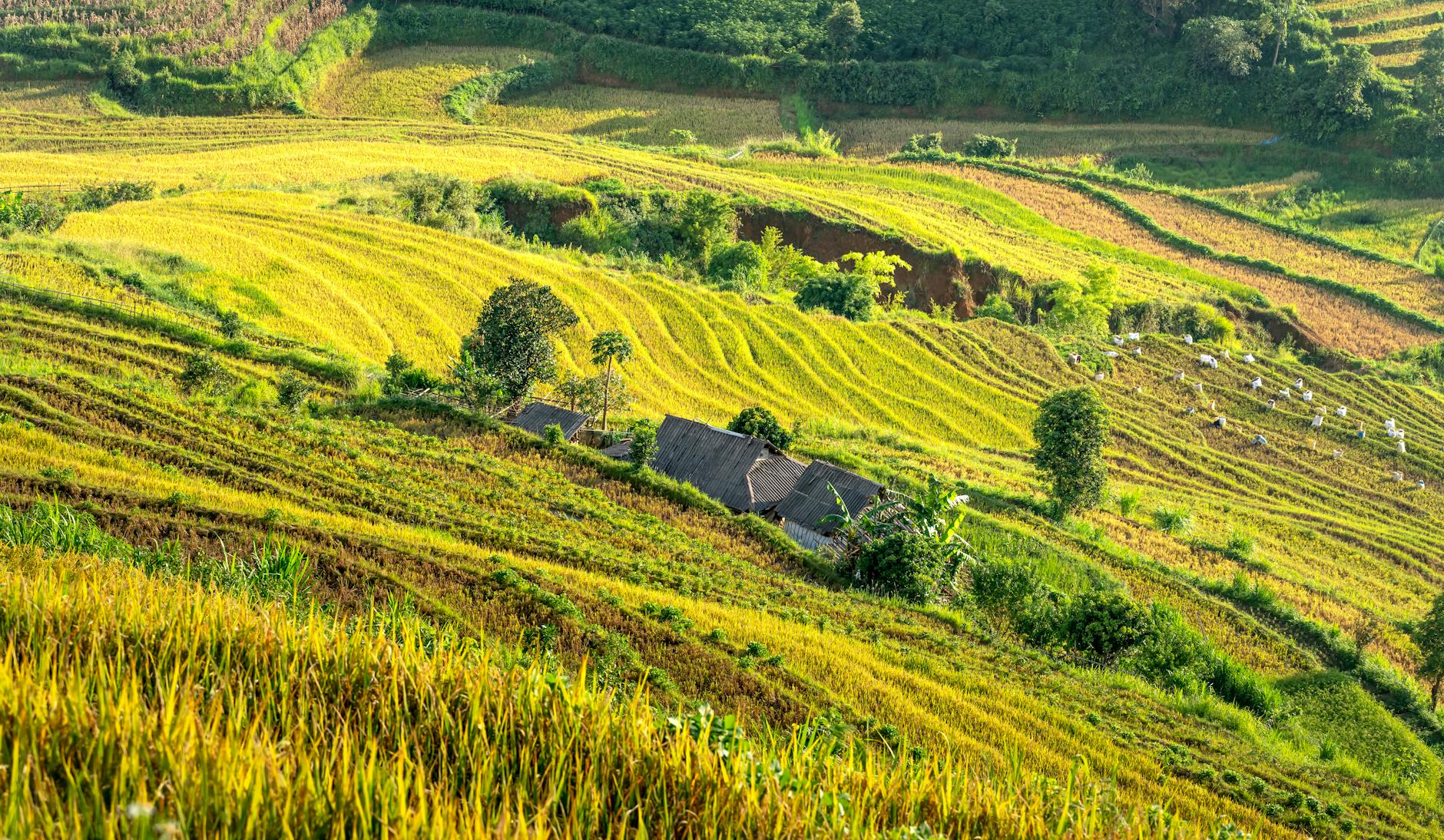 ITR imposto territorial rural