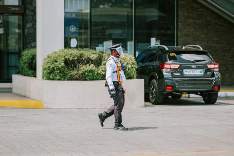 Regime geral de previdência social e proteção dos trabalhadores brasileiros
