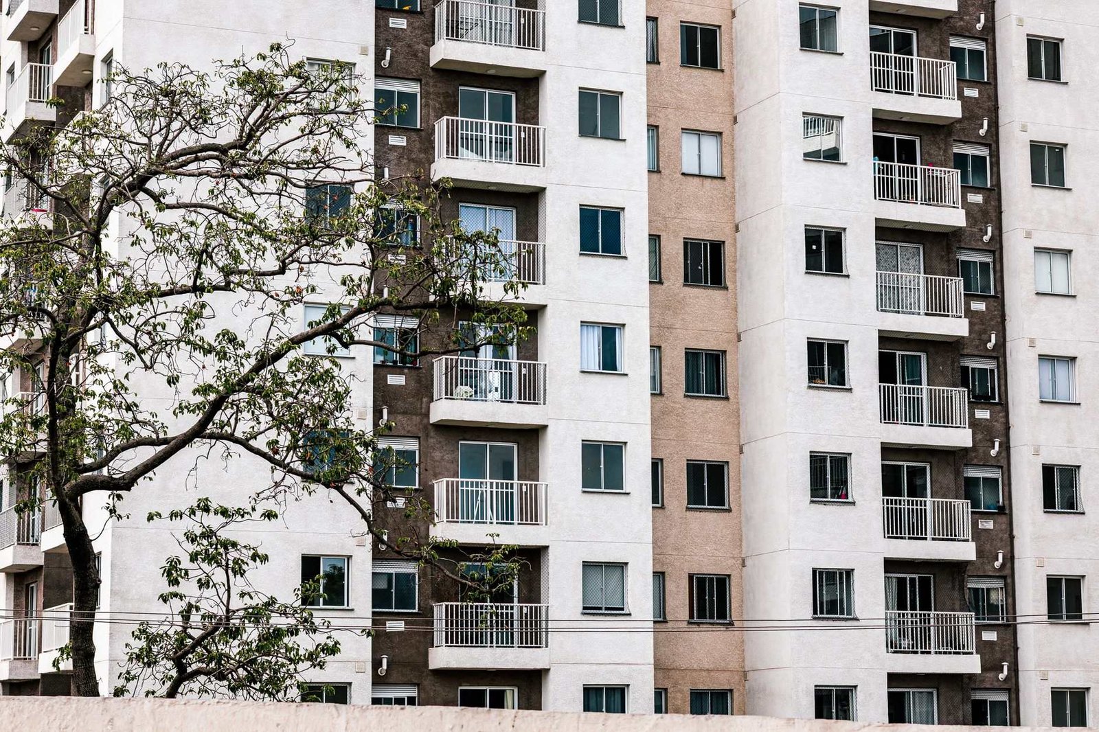 Exterior view of a modern apartment building with balconies and a tree, showcasi