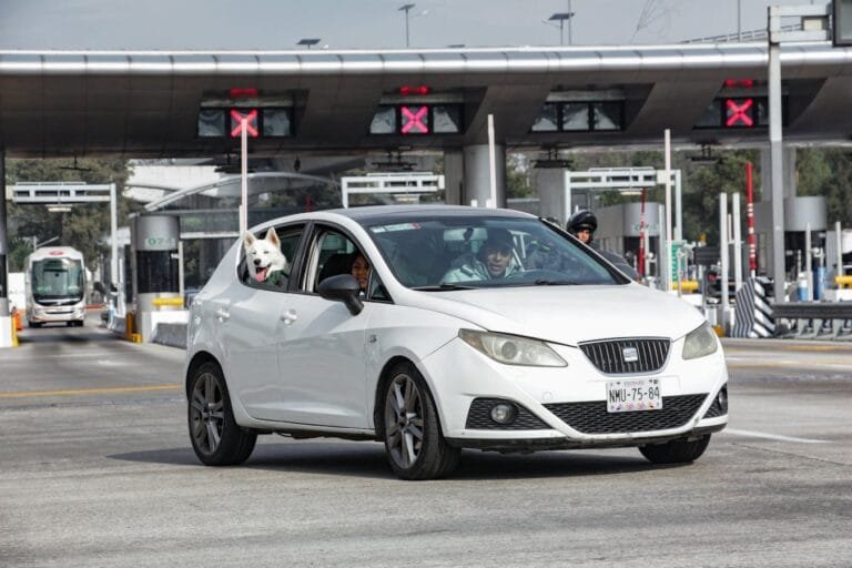 Pedágio de 50% e de 100%: Quando Cada Transição Compensa 6 A white car driving through a toll booth with a dog leaning out the window.