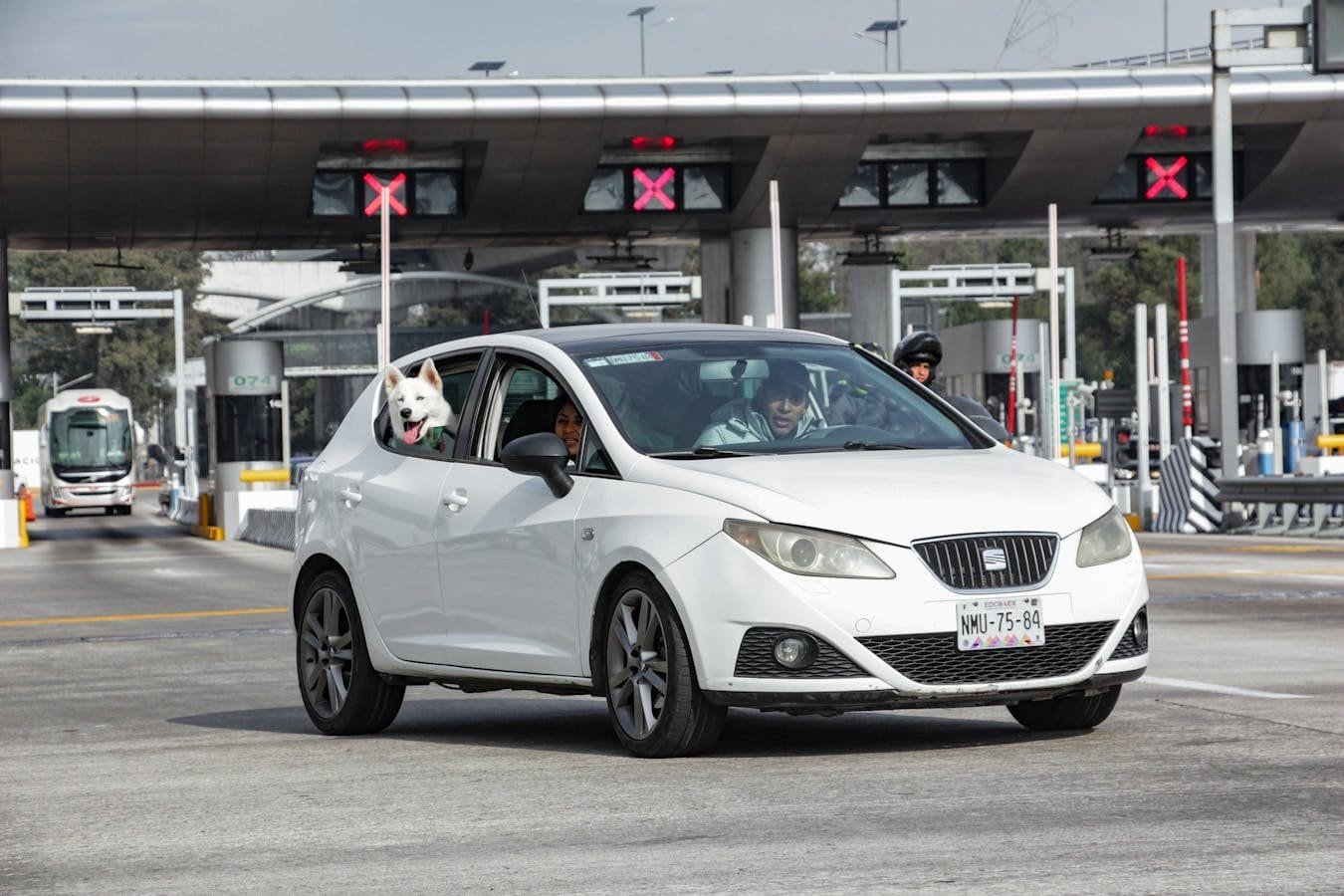 A white car driving through a toll booth with a dog leaning out the window.