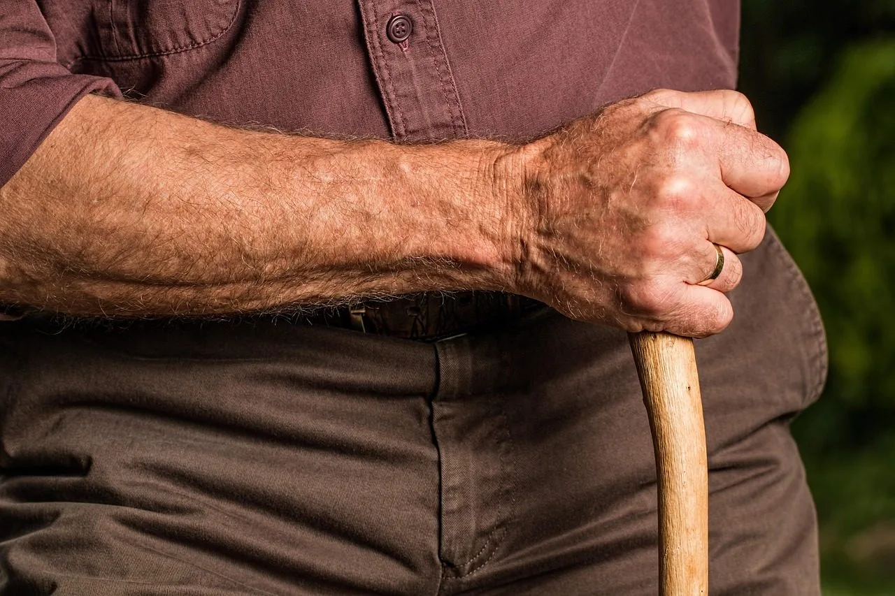 Aposentadoria Compulsória: Conversão de Auxílio-Doença 1 hand, walking stick, arm, elderly, old person, cane, retired, retirement, relaxed, content, senior, pensioner, elder, gr