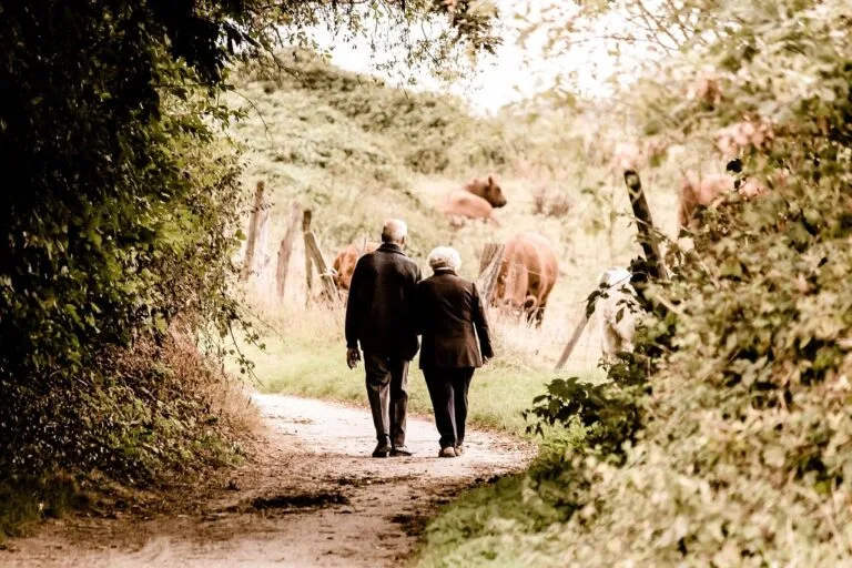 elderly, couple, walking, trail, countryside, rural, retired, leisure, path, elderly, elderly, elderly, elderly, couple,
