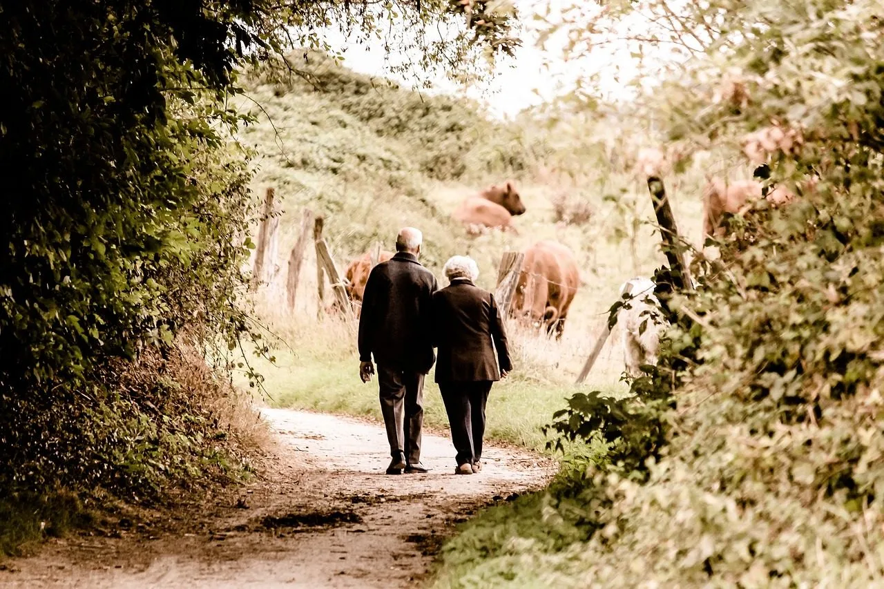 elderly, couple, walking, trail, countryside, rural, retired, leisure, path, elderly, elderly, elderly, elderly, couple,