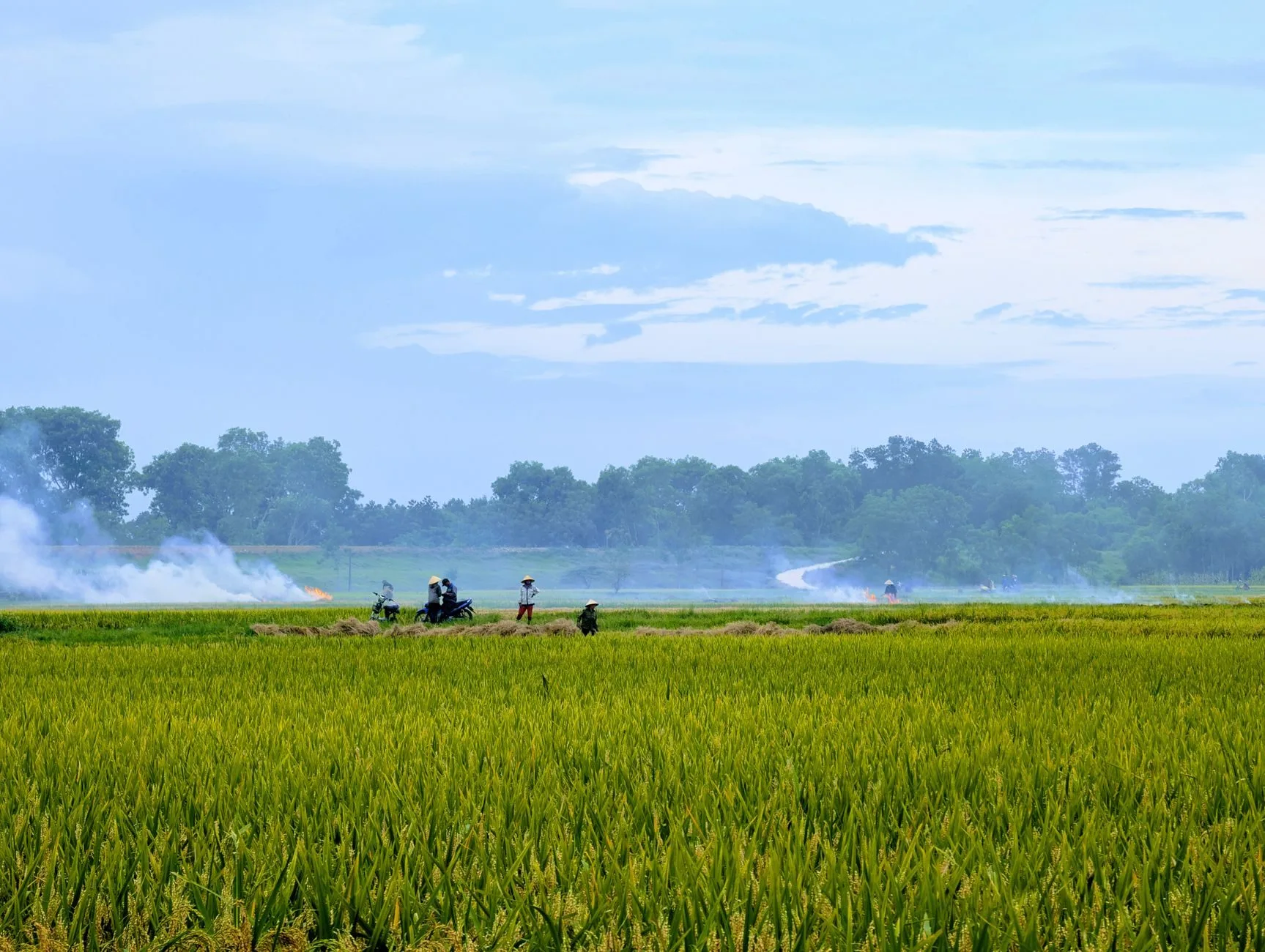Aposentadoria Rural: Comprovação da Atividade e Documentos Necessários 1 Ilustração sobre aposentadoria rural comprovacao atividade