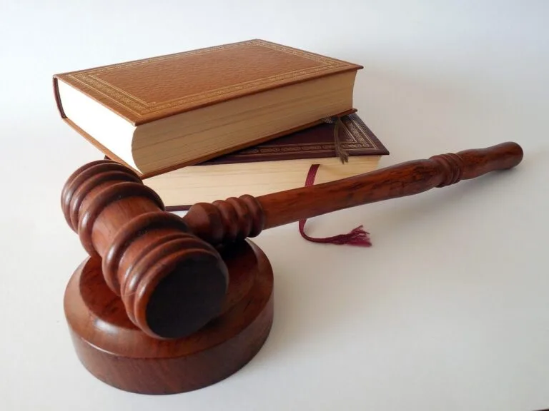 hammer, books, law, dish, lawyer, paragraphs, regulation, court of justice, a book, §, cod
