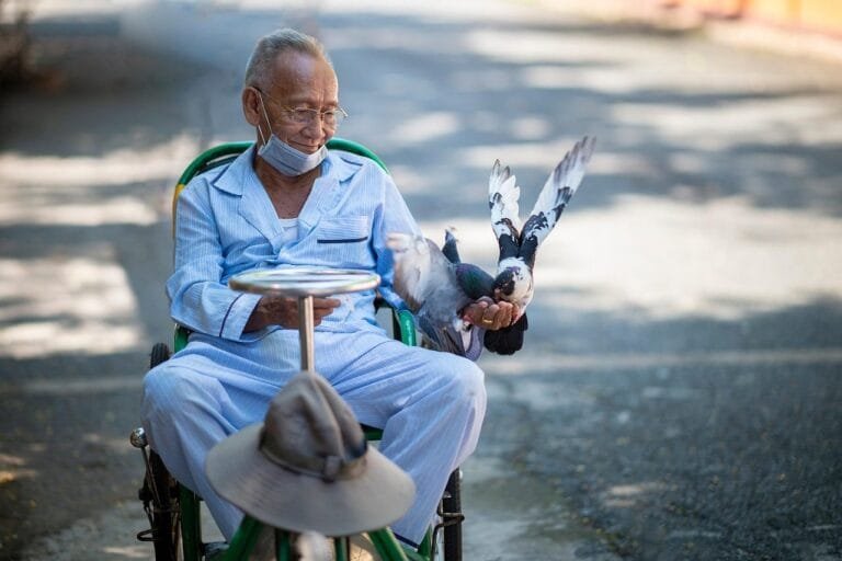 BPC Idoso 2026: Requisitos de Idade, Renda e Documentos 6 man, feeding, birds, portrait, outdoors, happy, male, park, street, sitting, poverty, village, human, discover, africa,