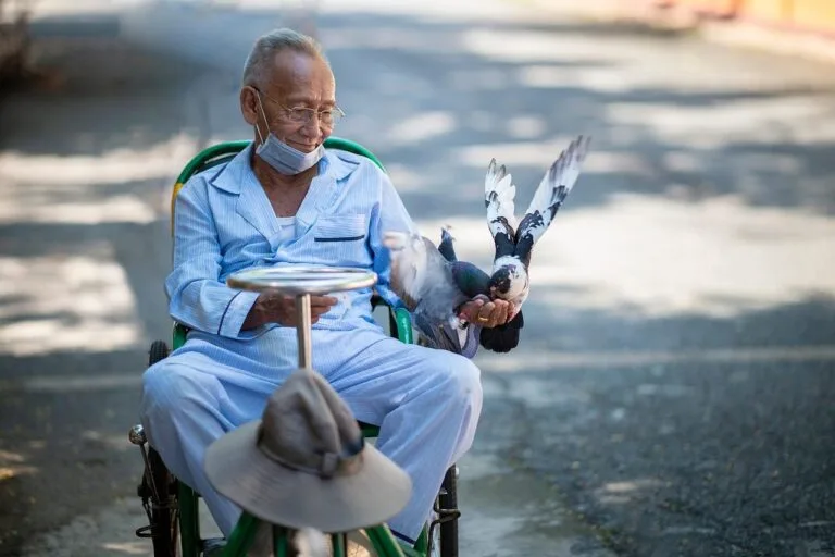 man, feeding, birds, portrait, outdoors, happy, male, park, street, sitting, poverty, village, human, discover, africa, 