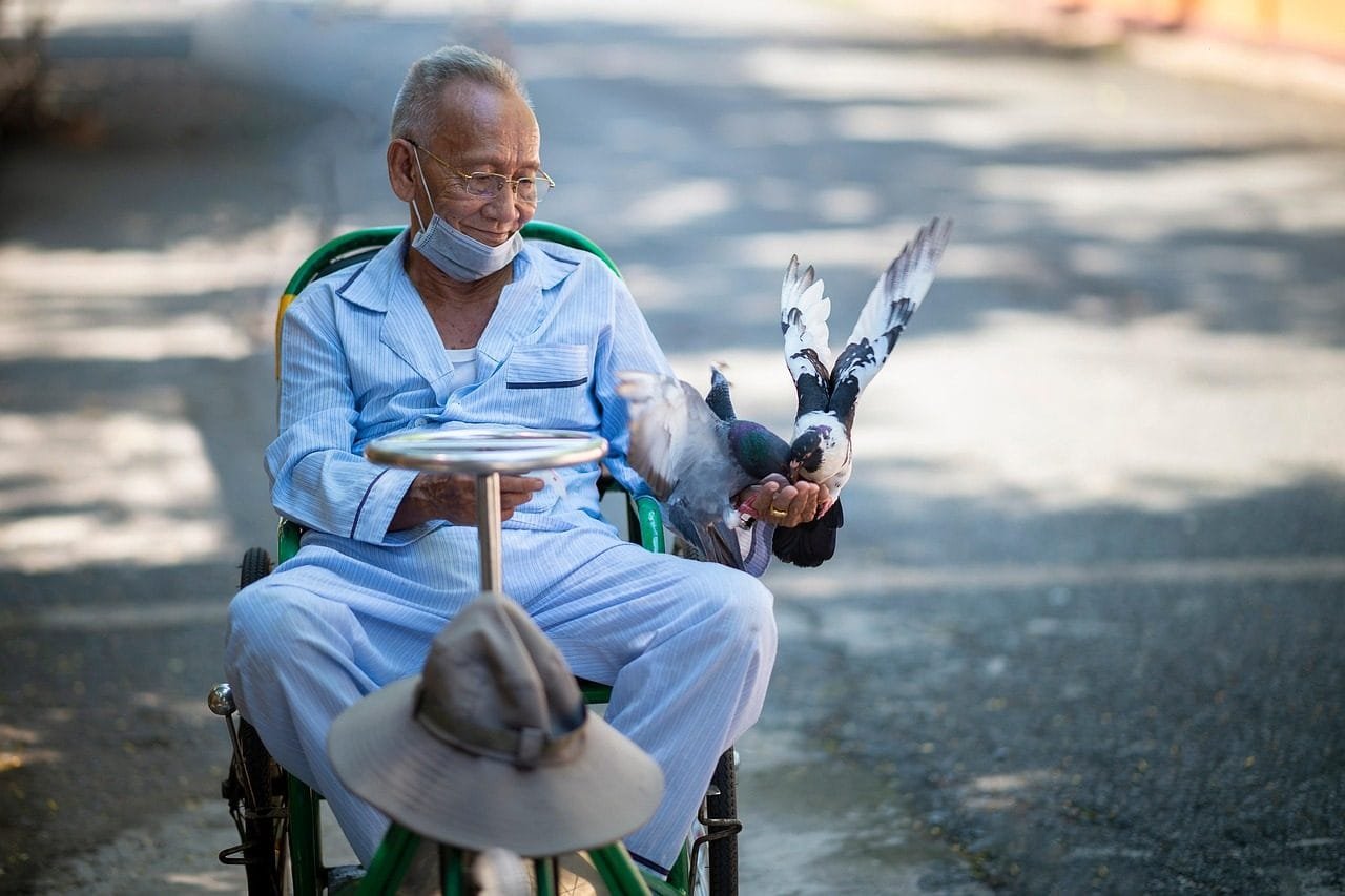 man, feeding, birds, portrait, outdoors, happy, male, park, street, sitting, poverty, village, human, discover, africa,