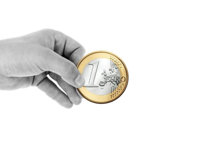 hand, keep, finger, euro, coin, money, currency, finance, donation, presentation, euro, eu