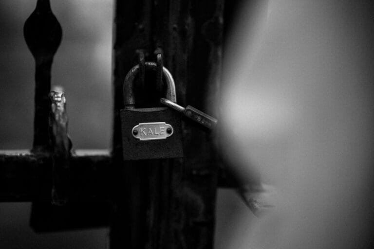 Close-up of a padlock on an iron fence in monochrome, symbolizing security.