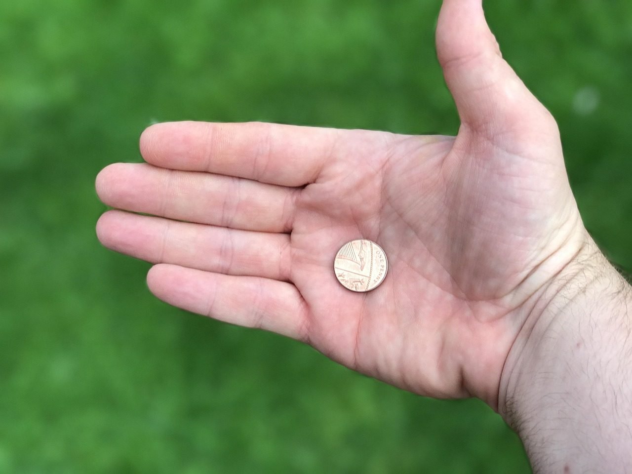 coin, hand, green, money, finance, income, green money, green finance, coin, coin, coin, m