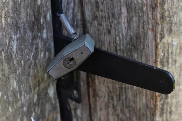 Cybersquatting: quando alguém registra um domínio com o nome do seu negócio 7 padlock, lock, security, protection, locked, closed, gate lock, privacy, padlock, padlock,