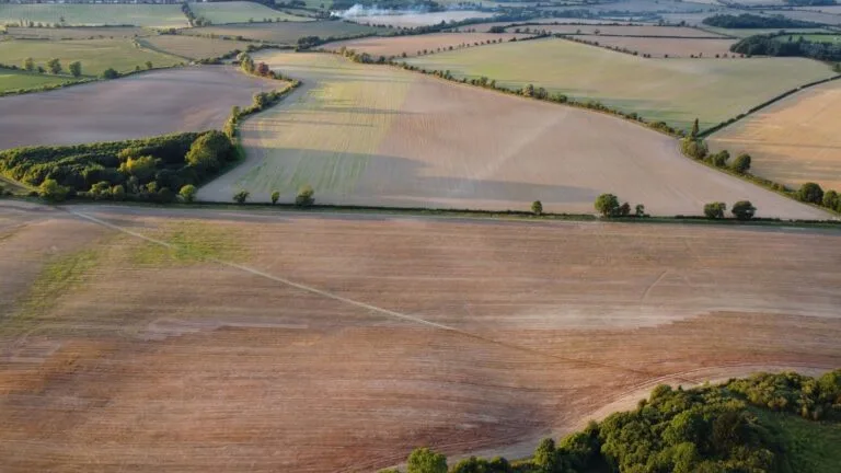 Imagem ilustrativa: Desapropriação por interesse social para reforma agrária