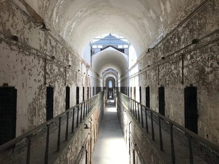 Habeas Corpus: Guia Completo sobre o Remédio da Liberdade 4 Ilustração sobre habeas corpus guia