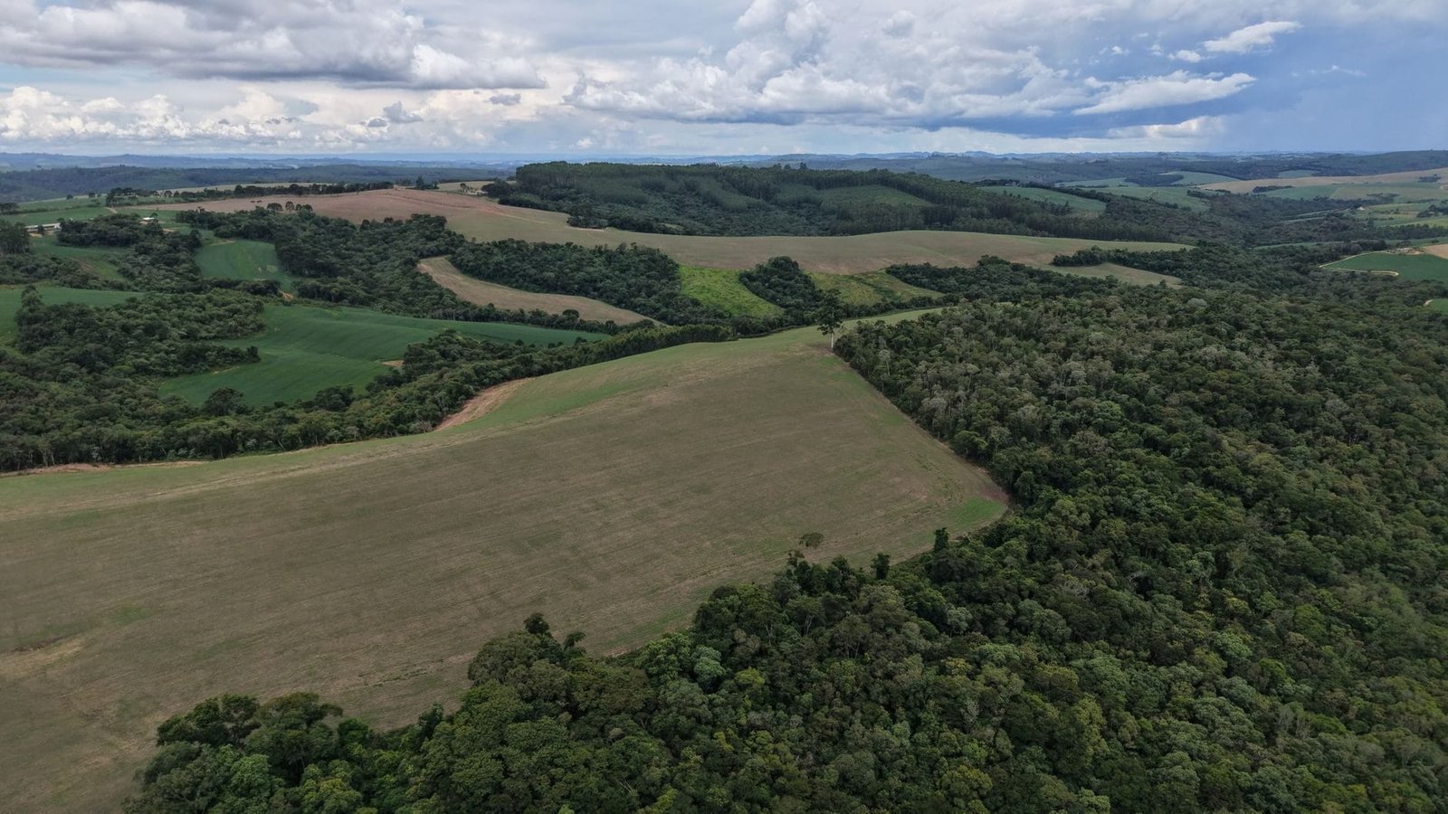 Aerial view of vibrant rolling hills and dense forests under a cloudy sky.