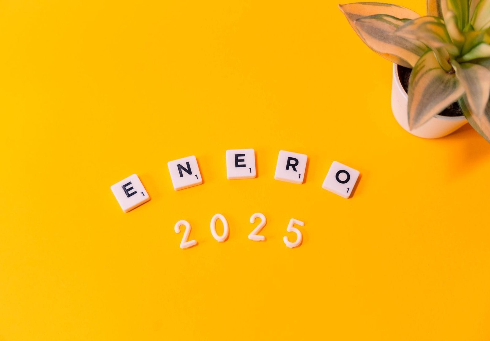 Scrabble tiles spelling Enero 2025 on a vibrant yellow background with a plant