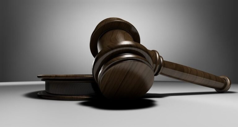 judge, hammer, auction hammer, auction, verdict, law, dish, criminal law, justice, lawyer,