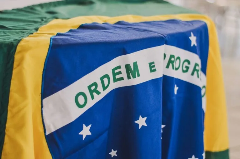 Poder de Polícia: Limites Legais e Abuso de Poder 2 Brazillian flag