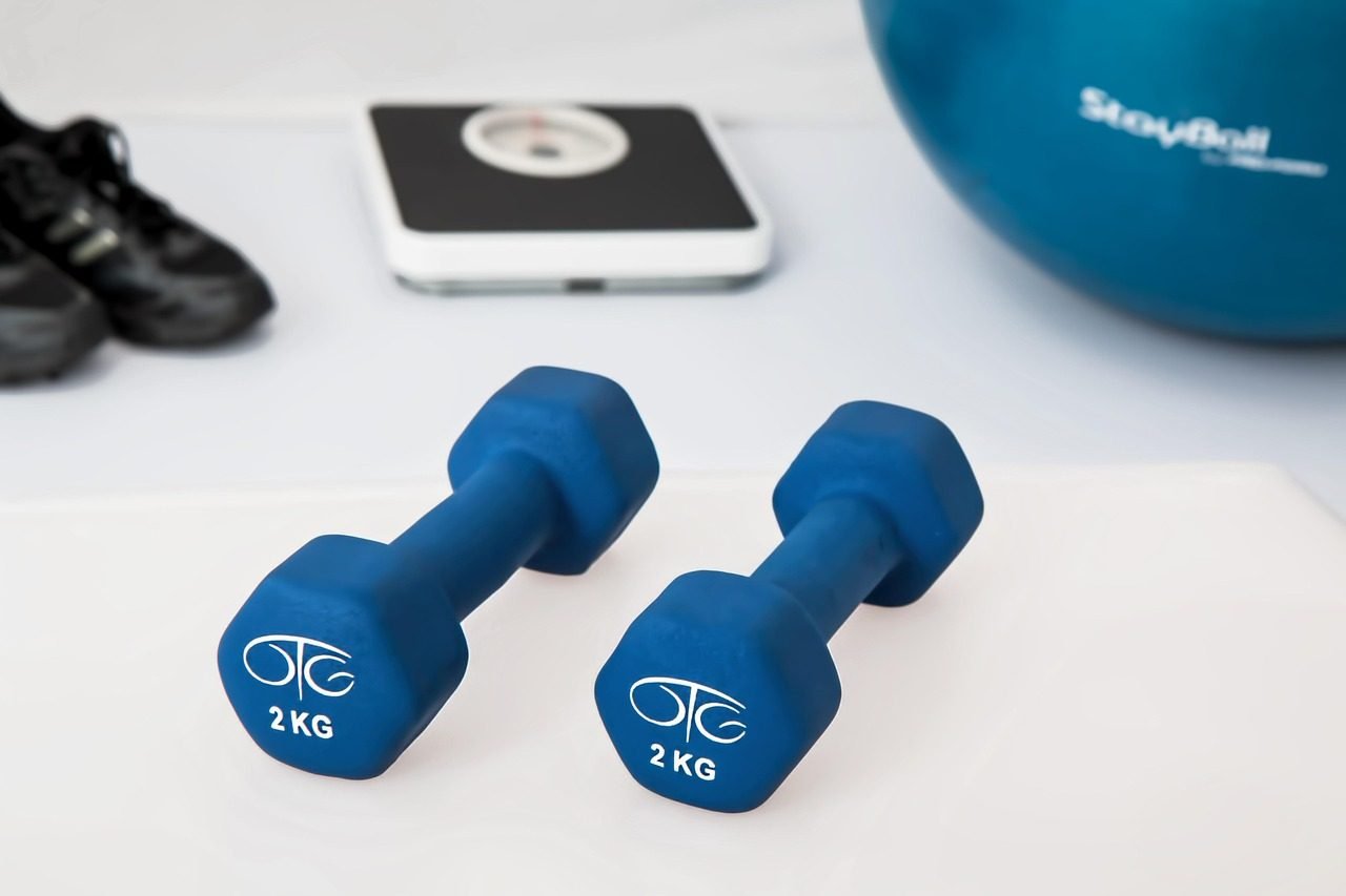 physiotherapy, weight training, dumbbells, exercise balls, weight loss, workout, health, g