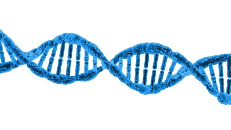 dna, biology, science, dna helix, protein, molecule, molecular structure, chromosome, spir