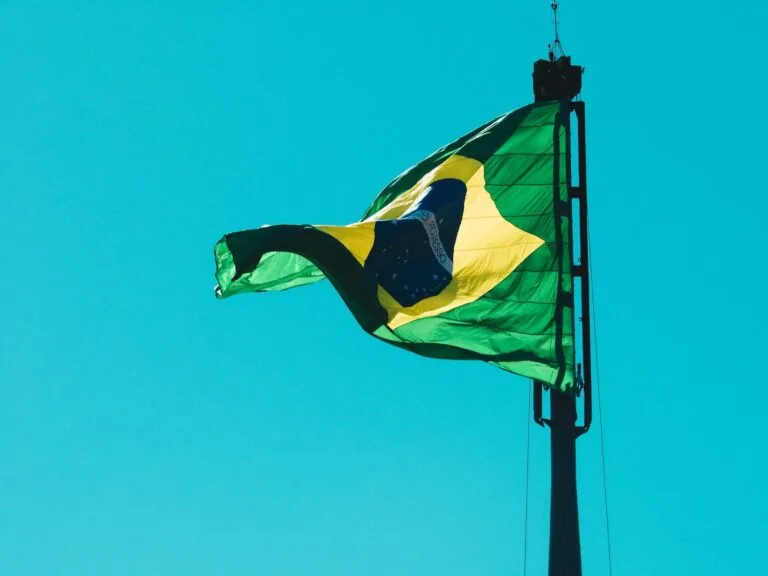 Responsabilidade Civil do Estado: Art. 37 §6 da CF 5 green yellow and black flag