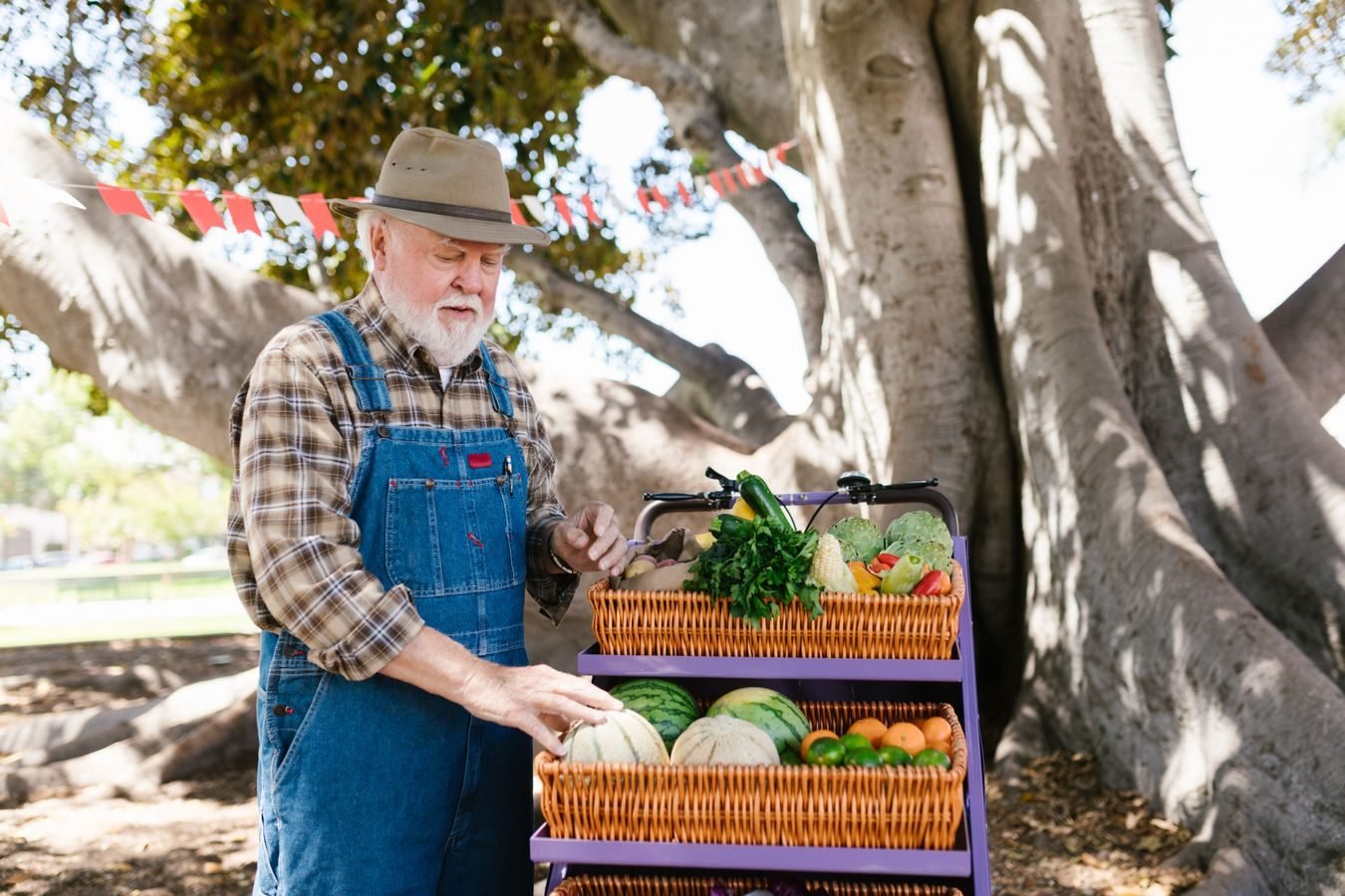 Elderly farmer at a colorful outdoor fruit stand, offering fresh vegetables and fruits.