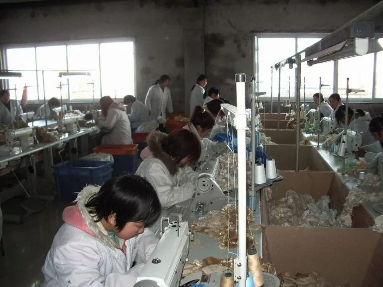 worker, factory, sewing, machine, people, worker, factory, factory, factory, factory, sewi