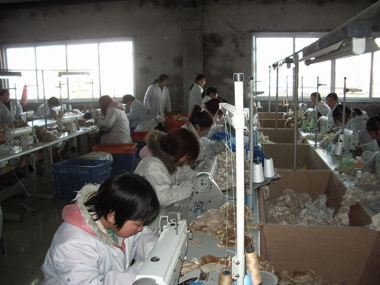 worker, factory, sewing, machine, people, worker, factory, factory, factory, factory, sewi
