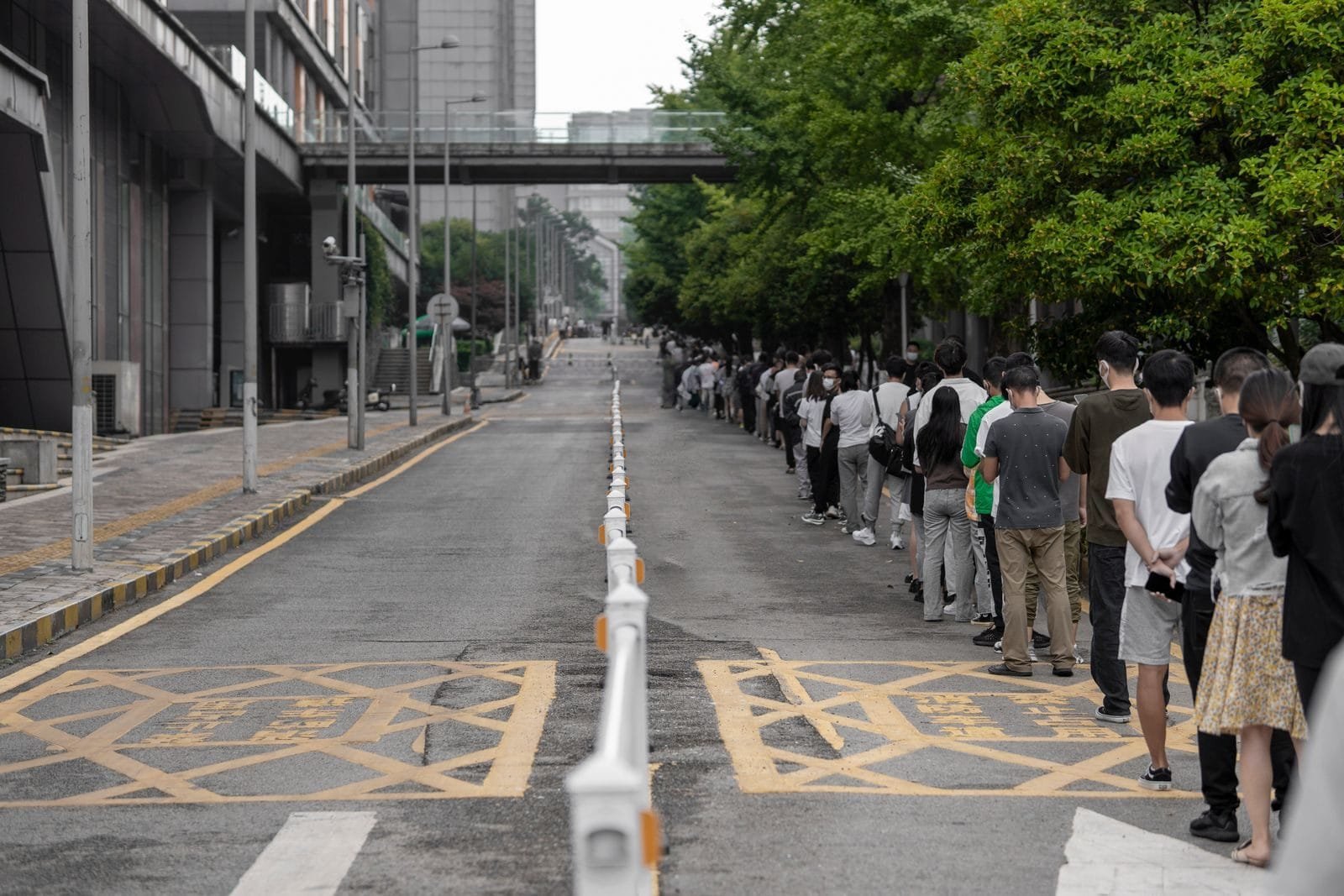 A large group of people lined up along a city street, highlighting urban planning and human patience.